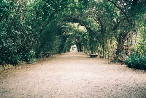 4528603558_3d7a7e1b40_z (1).jpg